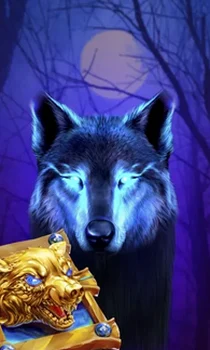Book Of The Night Wolf